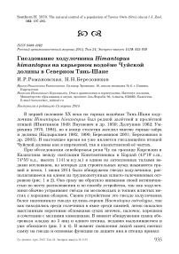 Гнездование ходулочника  Himantopus himantopus на карьерном водоёме Чуйской долины в Северном Тянь-Шане