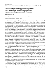 О случаях нетипичного гнездования золотистой щурки  Merops apiaster в условиях Воронежской области