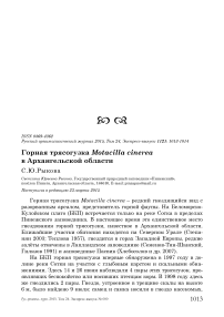 Горная трясогузка Motacilla cinerea в Архангельской области