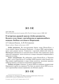 О встречах рыжей цапли Ardea purpurea, белого гуся Anser caerulescens и краснозобого конька Аnthus cervinus в Киргизии