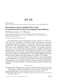 Весенняя встреча дрофы Otis tarda в Сюгатинской долине (Северный Тянь-Шань)