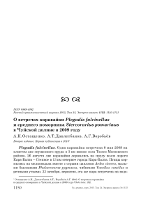 О встречах каравайки Plegadis falcinellus и среднего поморника Stercorarius pomarinus в Чуйской долине в 2009 году