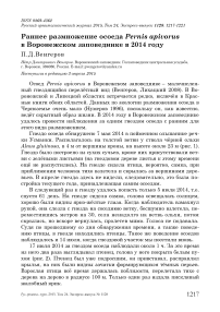 Раннее размножение осоеда Pernis apivorus в Воронежском заповеднике в 2014 году