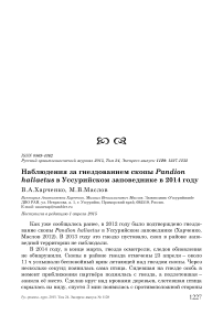 Наблюдения за гнездованием скопы Pandion haliaetus в Уссурийском заповеднике в 2014 году