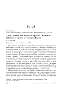 О гнездовании белощёкой крачки Chlidonias hybridus в среднем течении Десны