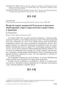 Встречи серых журавлей Grus grus и красавок Anthropoides virgo в окрестностях озера Севан в Армении