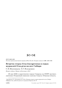 Встречи стерха Grus leucogeranus и серых журавлей Grus grus на юге Сибири