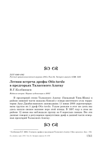 Летняя встреча дрофы Otis tarda в предгорьях Таласского Алатау