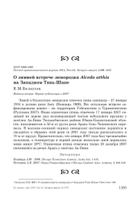 О зимней встрече зимородка Alcedo atthis на Западном Тянь-Шане