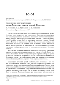 Скопления мигрирующих водно-болотных птиц в Южной Карелии