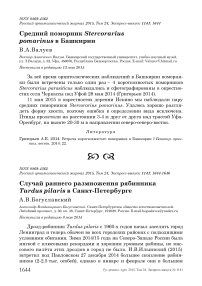 Средний поморник Stercorarius pomarinus в Башкирии