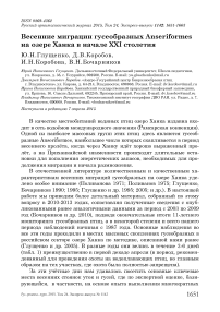 Весенние миграции гусеобразных Anseriformes на озере Ханка в начале XXI столетия