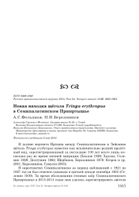 Новая находка щёголя Tringa erythropus в Семипалатинском Прииртышье