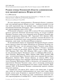 Редкие птицы Псковской области: длинноносый, или средний крохаль Mergus serrator