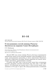 О гнездовании усатой синицы Panurus biarmicus на окраине Санкт-Петербурга