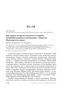 Две новые встречи хохлатого старика Synthliboramphus wumizusume у берегов Приморского края