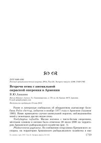 Встречи птиц с аномальной окраской оперения в Армении