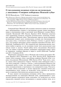 О гнездовании водяных птиц на мелководьях у заказника «Северное побережье Невской губы»