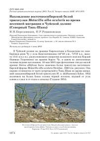 Нахождение восточносибирской белой трясогузки Motacilla alba ocularis во время весенней миграции в Чуйской долине (Северный Тянь-Шань)