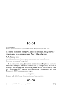 Первая зимняя встреча синей птицы Myophonus caeruleus в заповеднике Аксу-Джабаглы