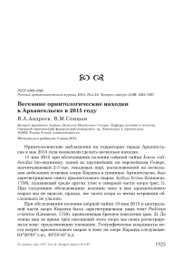 Весенние орнитологические находки в Архангельске в 2015 году