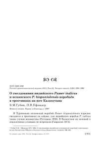 О гнездовании индийского Passer indicus и испанского P. hispaniolensis воробьёв в тростниках на юге Казахстана