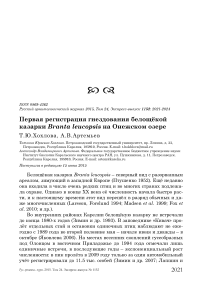 Первая регистрация гнездования белощёкой казарки Branta leucopsis на Онежском озере