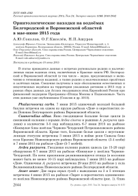 Орнитологические находки на водоёмах Белгородской и Воронежской областей в мае-июне 2015 года