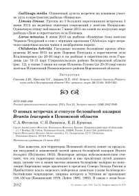 О новых встречах и статусе белощёкой казарки Branta leucopsis в Псковской области