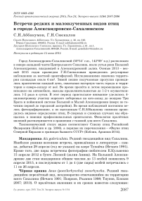 Встречи редких и малоизученных видов птиц в городе Александровске-Сахалинском