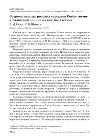 Встречи линных розовых скворцов Pastor roseus в Таласской долине на юге Казахстана