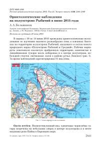 Орнитологические наблюдения на полуострове Рыбачий в июне 2015 года