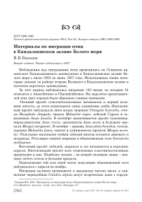 Материалы по миграции птиц в Кандалакшском заливе Белого моря