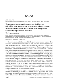 Поведение орлана-белохвоста Haliaeetus albicilla при выводке в критической ситуации: использование отвлекающей демонстрации «Имитация раненой птицы»