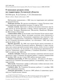 О находках редких птиц на территории Луганской области