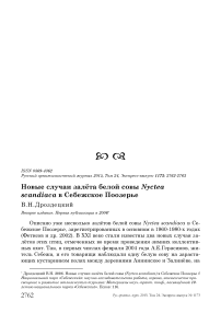 Новые случаи залёта белой совы Nyctea scandiaca в Себежское Поозерье