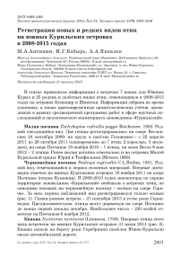 Регистрация новых и редких видов птиц на Южных Курильских островах в 2008-2015 годах