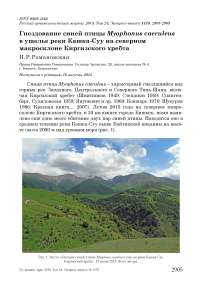 Гнездование синей птицы Myophonus caeruleus в ущелье реки Кашка-Суу на северном макросклоне Киргизского хребта