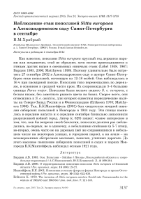 Наблюдение стаи поползней Sitta europaea в Александровском саду Санкт-Петербурга в сентябре