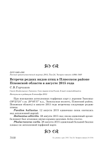 Встречи редких видов птиц в Плюсском районе Псковской области в августе 2015 года