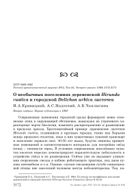 О необычных поселениях деревенской Hirundo rustica и городской Delichon urbica ласточек