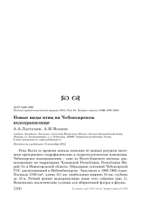 Новые виды птиц на Чебоксарском водохранилище