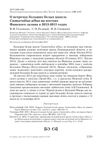 О встречах больших белых цапель Casmerodius albus на востоке Финского залива в 2013-2015 годах