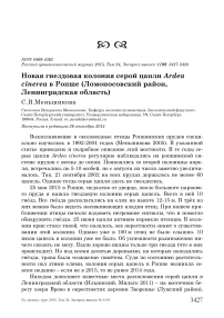 Новая гнездовая колония серой цапли Ardea cinerea в Ропше (Ломоносовский район, Ленинградская область)