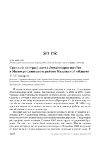 Средний пёстрый дятел Dendrocopos medius в Малоярославецком районе Калужской области