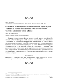 О первом нахождении желтоголовой трясогузки Motacilla citreola calcarata в казахстанской части Западного Тянь-Шаня