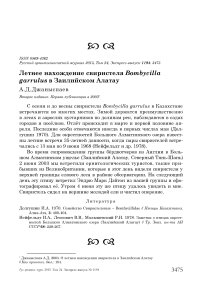 Летнее нахождение свиристеля Bombycilla garrulus в Заилийском Алатау