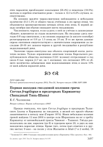 Первая находка гнездовой колонии грача Corvus frugilegus в предгорьях Каржантау (Западный Тянь-Шань)