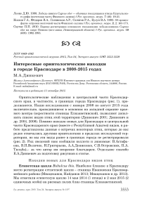 Интересные орнитологические находки в городе Краснодаре в 2008-2015 годах