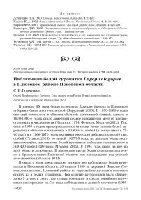 Наблюдение белой куропатки Lagopus lagopus в Плюсском районе Псковской области